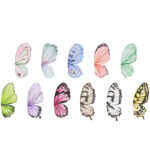 flower wrapping paper CD