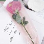 Single bag XXW - Image 2